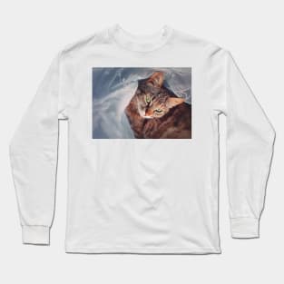 Pregnant cat hiding Long Sleeve T-Shirt